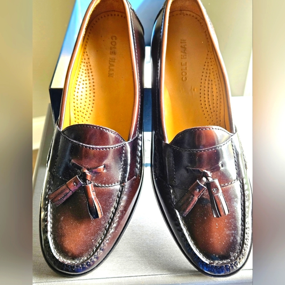 Cole Haan Men's Pinch Tassel Mahogany Loafers_10D